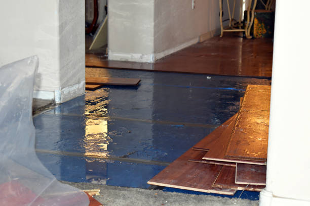 Professional Flood Cleanup technician working in Mansfield, WA